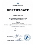 Сертификат дополнительного образования