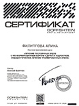 Сертификат 11
